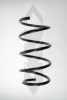 SPIDAN 56954 Coil Spring